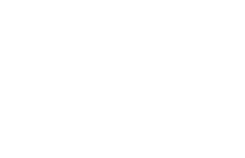 FSC Jena